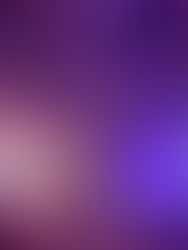 Cherry blossom season in Stockholm