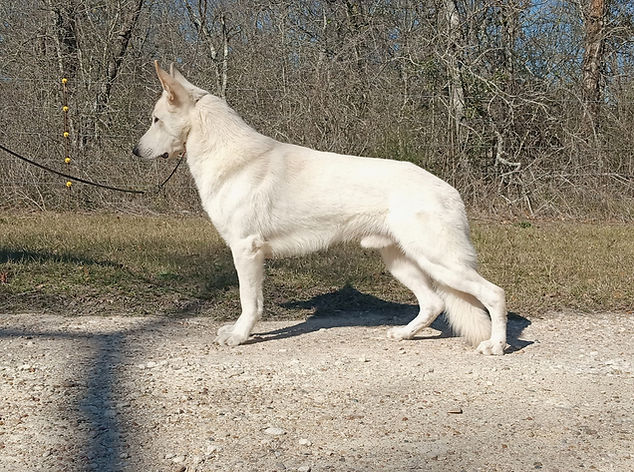 Smoke January 2022_edited.jpg