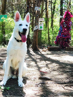 55853480_2133984636679506_52449351246712