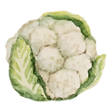 choufleur