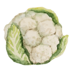 菜花