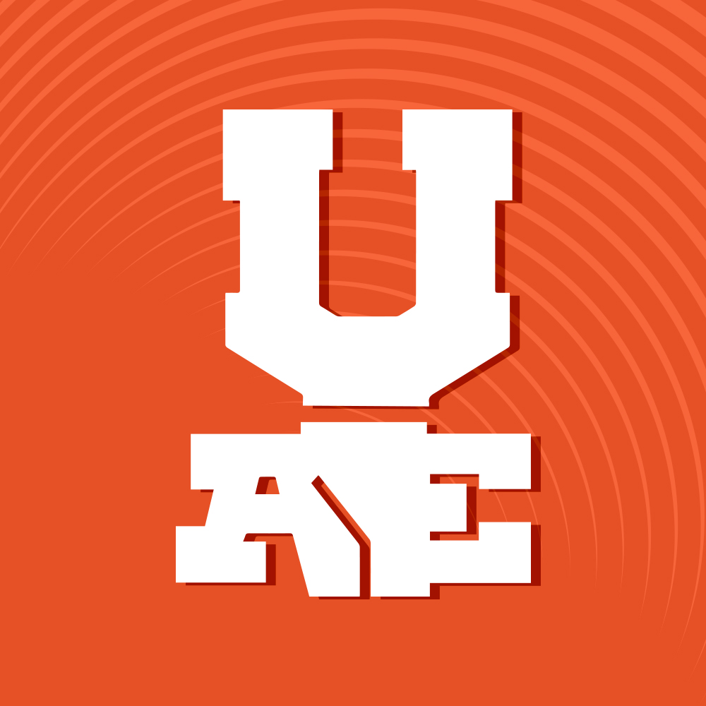 Albert Einstein University logo