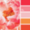 color-palette-4432.png