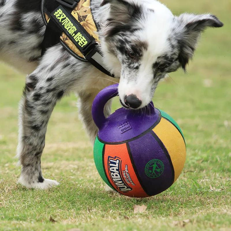 Miniatura: Chew-Resistant Dog Sports Ball
