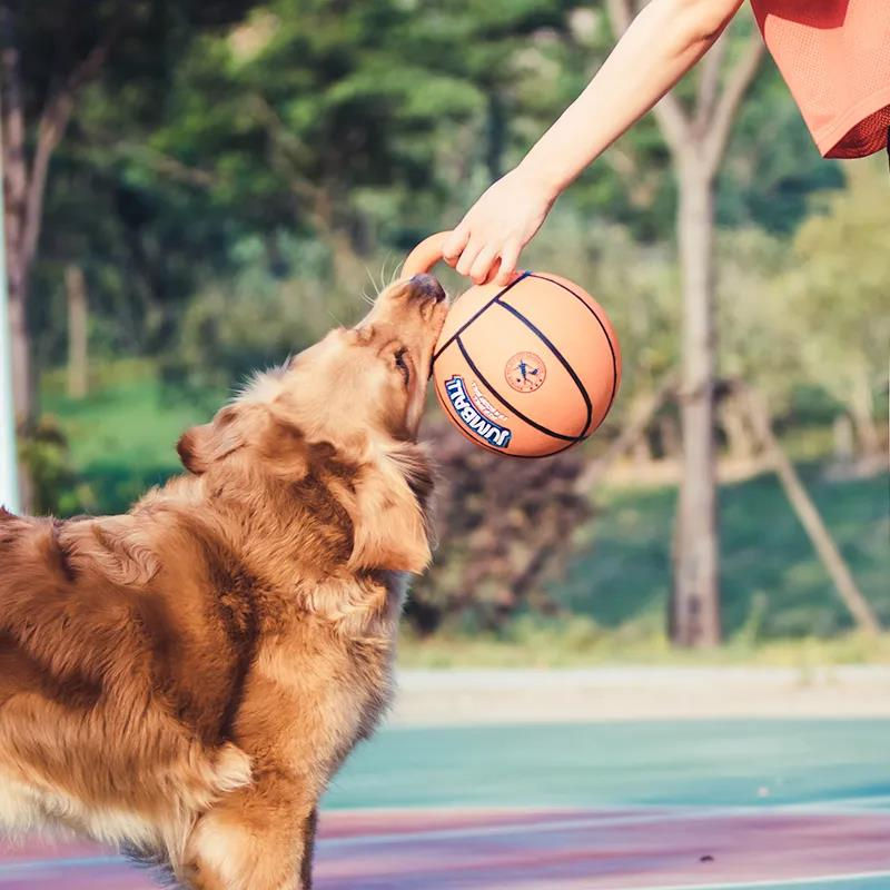 Miniatura: Chew-Resistant Dog Sports Ball