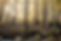 vbg_mtb_host.jpg