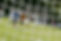 fotboll_apelviken (1).jpg