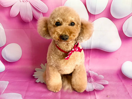 2/20ご来店のお客様✂