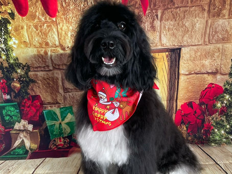 12/1ご来店のお客様✂