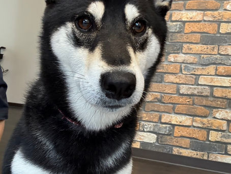 今日からお泊り🏠💕