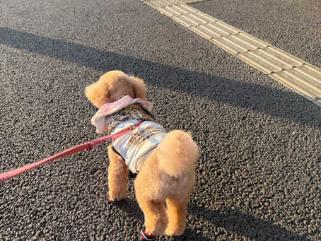 今夜もお泊り(⋈◍>◡<◍)。✧♡