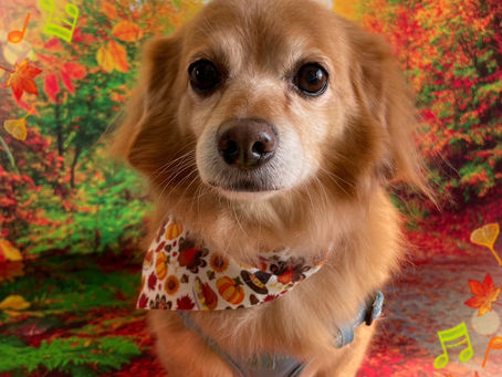 11/13ご来店のお客様✂