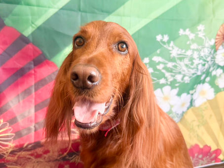 1/25ご来店のお客様✂