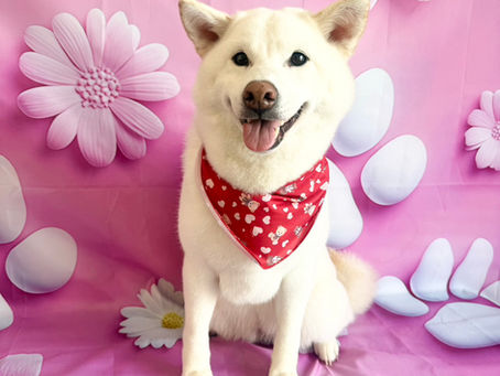 2/6ご来店のお客様✂