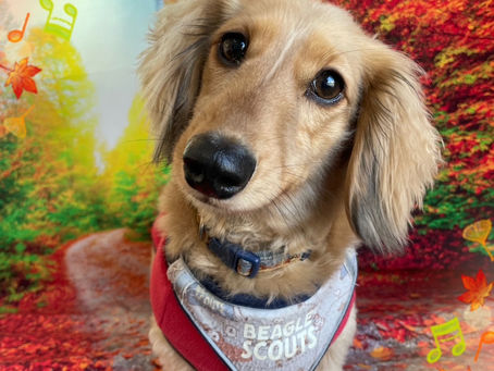 11/17ご来店のお客様✂