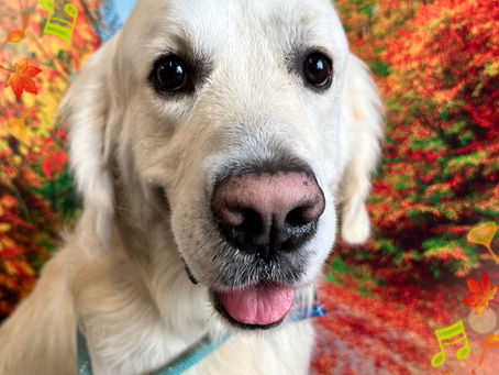 11/20ご来店のお客様✂