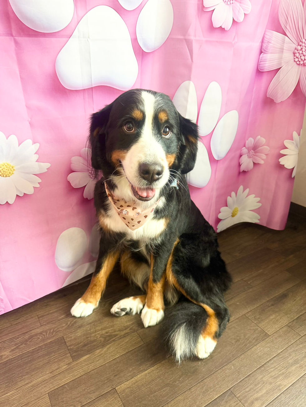 2/16ご来店のお客様✂