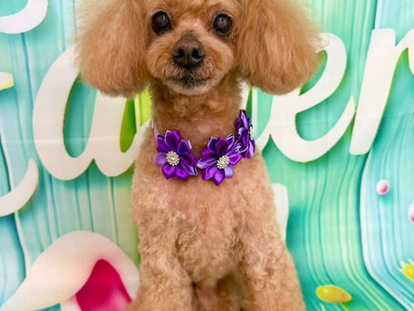 4/7ご来店のお客様✂