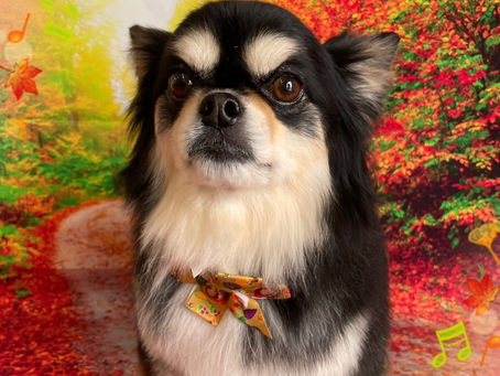 11/16ご来店のお客様✂