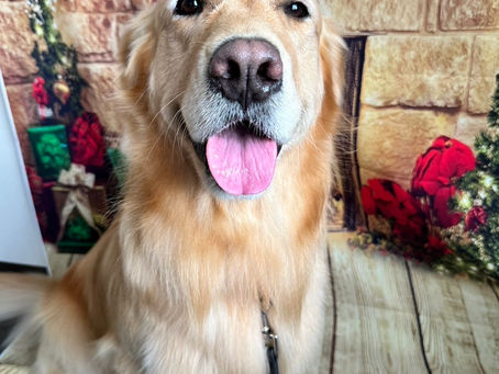 12/7ご来店のお客様✂