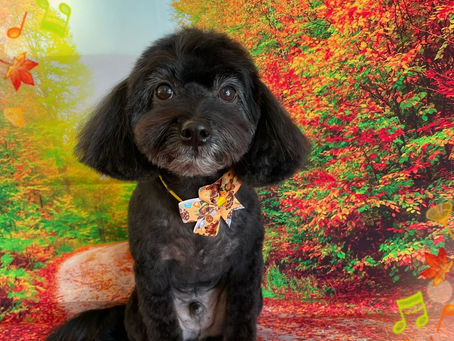 11/23ご来店のお客様✂