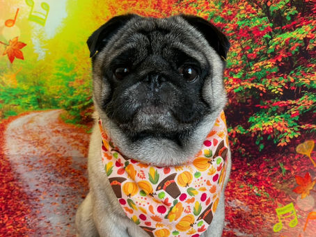 11/8ご来店のお客様✂