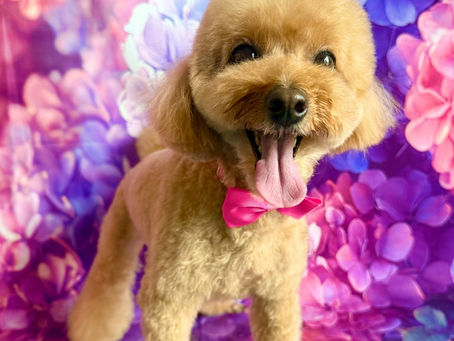 6/9ご来店のお客様✂