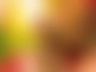 11/18ご来店のお客様✂