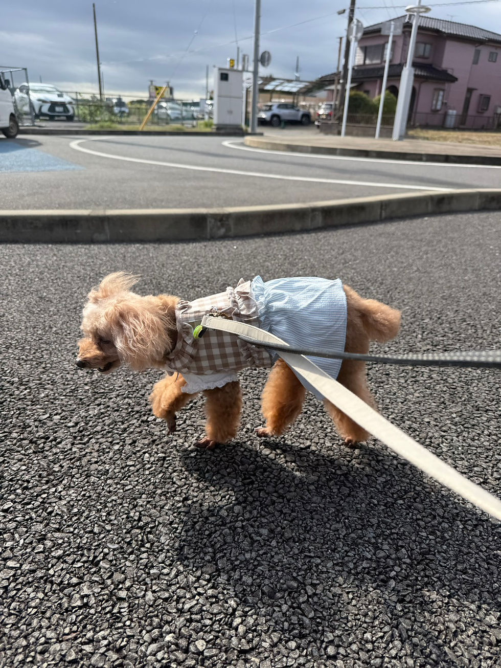 お泊り最終日(´;ω;`)