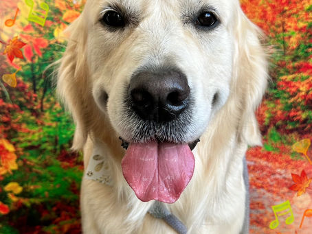 11/19ご来店のお客様✂