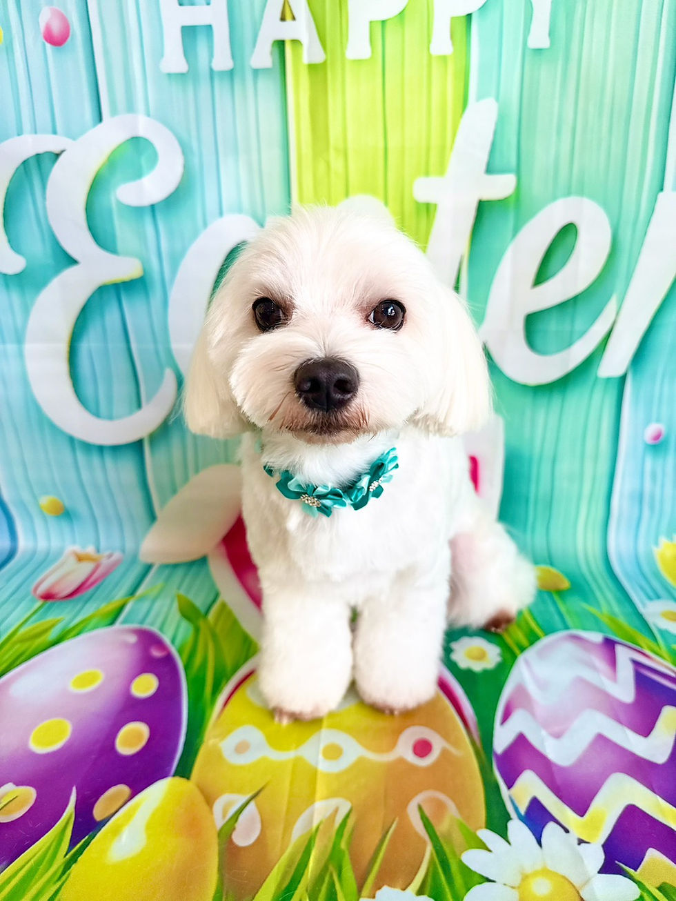 4/22ご来店のお客様✂