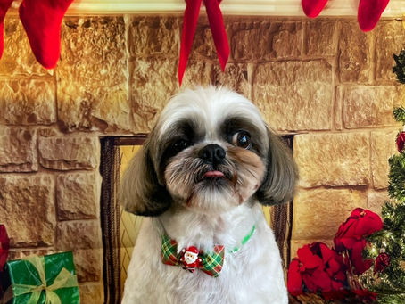 12/8ご来店のお客様✂