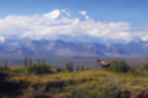 Mountain Majesty (paper)