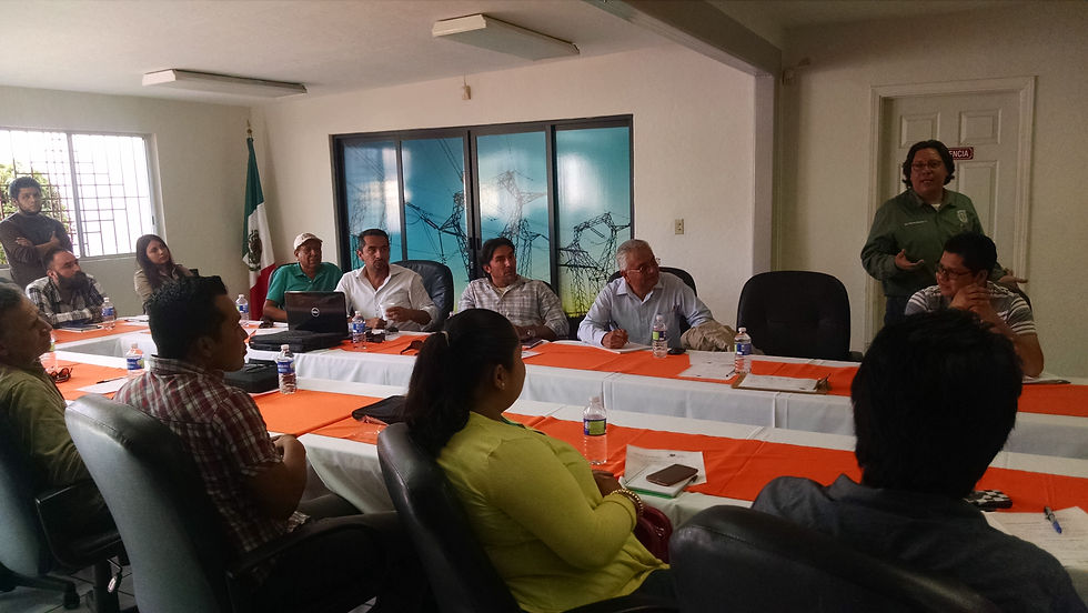 Cursos