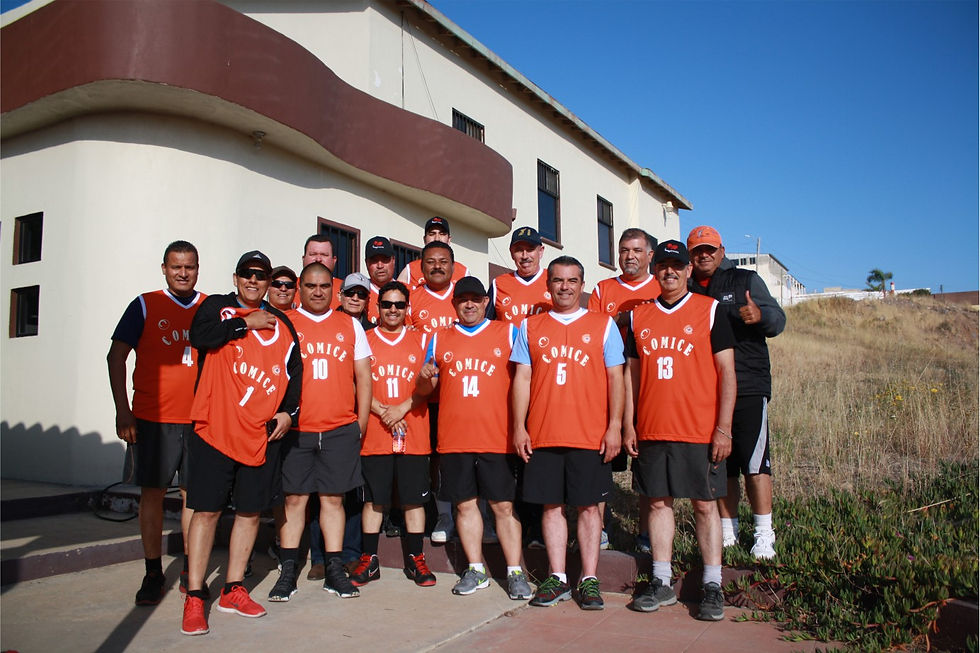 basquet cice 01