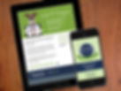 Online Marketing