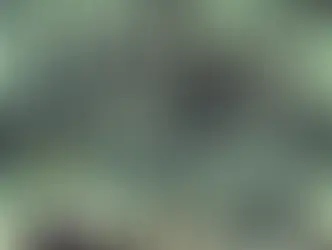 Ukraine Has A Fake President And A Fake War Compliments of Fake News. 