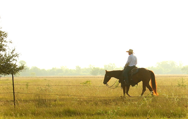 One of the cowboys relaxing in the cattle pasture