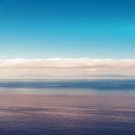 Untitled (2).gif