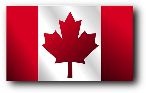Selenium Master Canada Team