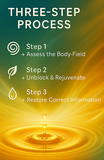 ChatGPT Image Nov 18, 2025, 04_06_25 PM.png