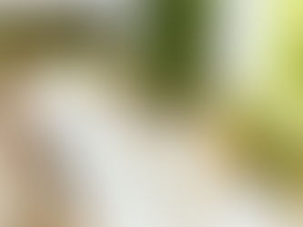 Hochzeitstrends 2025: Eure perfekte Feier im Trend