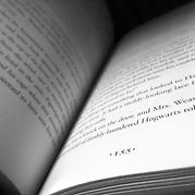 155-book-page-821139.jpg