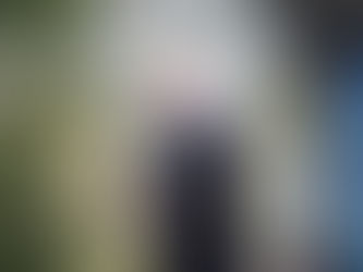 The Witness Stone Project