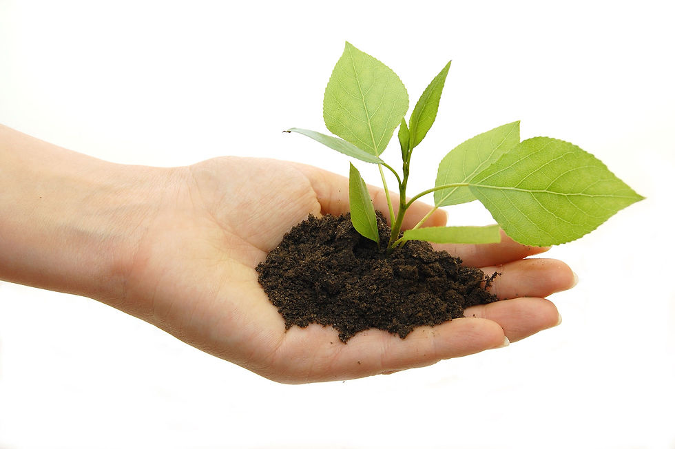 SUSTAINABILITY Roper Thermals