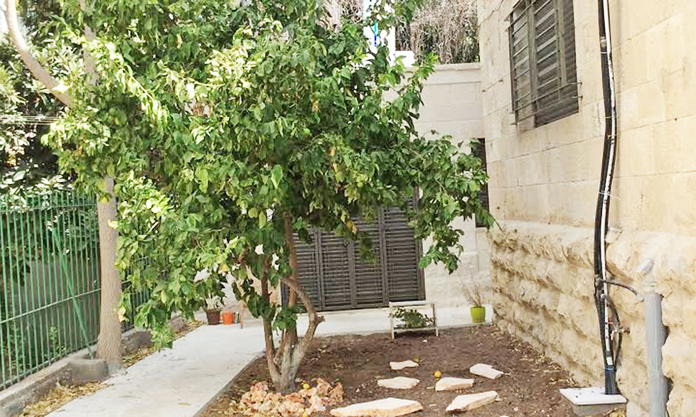 Sylvie Immobilier immobiliers sur Jerusalem