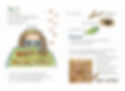 ChloesNatureJournal_Text06-5.jpg