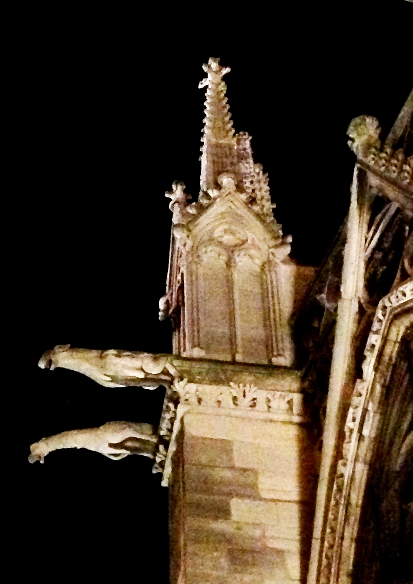 notre dame basilica and then there was light suspension notre dame basilica and then there was light suspension