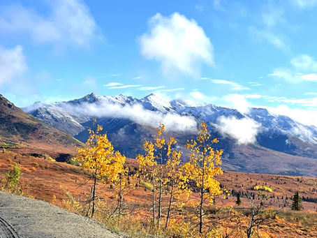 Denali National Park and Preserve: an American Treasure