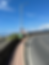 ree